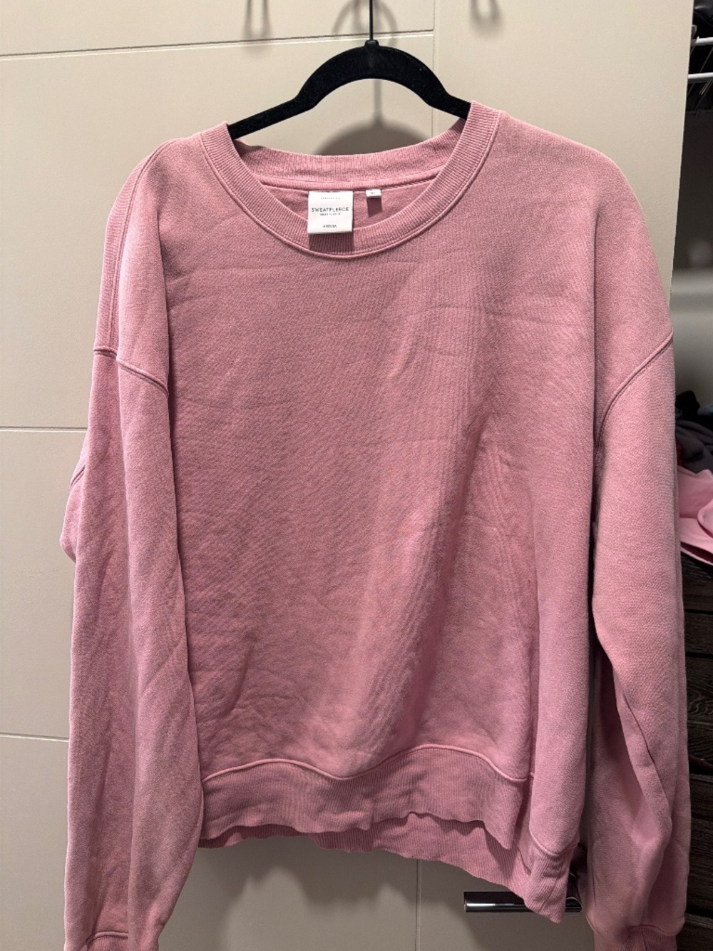 Aritzia  sweatshirt